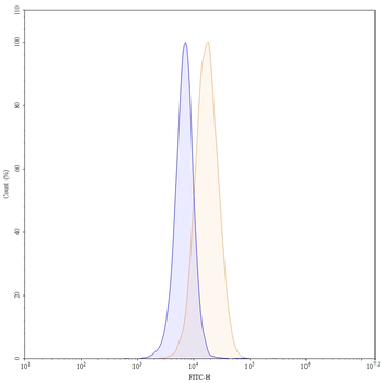 CD93/C1qR Mouse Monoclonal Antibody (FITC)