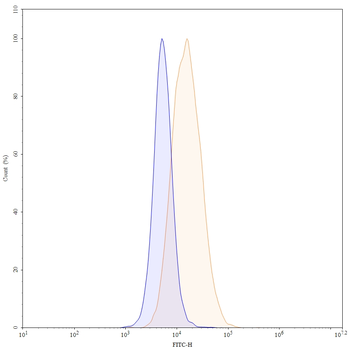 AMHR2/MISRII Mouse Monoclonal Antibody (FITC)