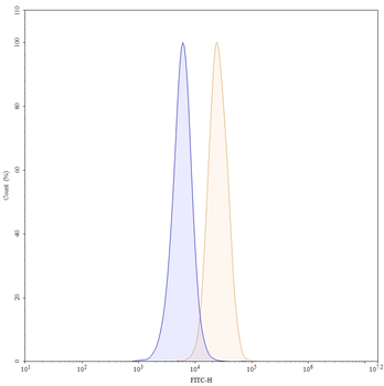 CD157/BST1 Mouse Monoclonal Antibody (FITC)