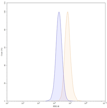 FOLH1/PSMA Human Monoclonal Antibody (FITC)
