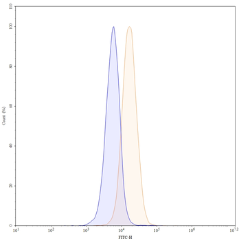 CD86/B7-2 Mouse Monoclonal Antibody (FITC)