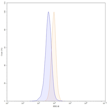 ADCYAP1R1 Human Monoclonal Antibody (FITC)