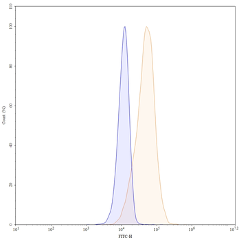 CD171/L1CAM Mouse Monoclonal Antibody (FITC)