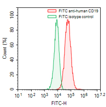 CD19 Mouse Monoclonal Antibody (FITC)