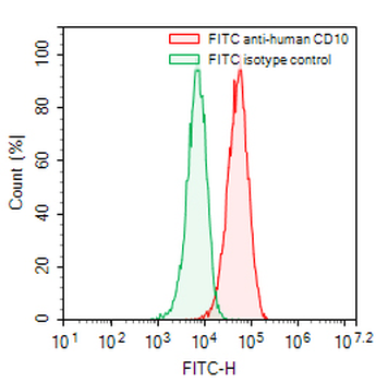 CD10/MME Mouse Monoclonal Antibody (FITC)