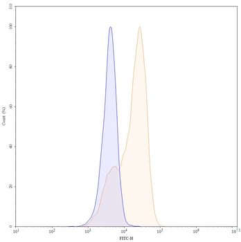 CD3E Mouse Monoclonal Antibody (FITC)