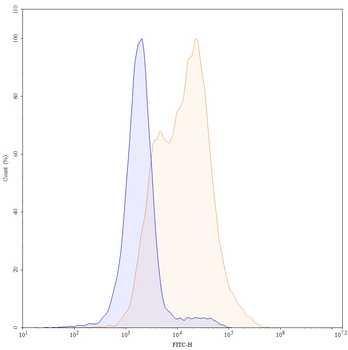 CD25/IL2RA Rat Monoclonal Antibody (FITC)