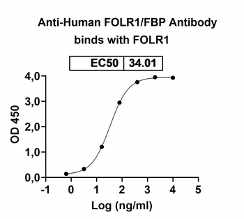 FOLR1/FBP Mouse Monoclonal Antibody