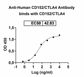 CD152/CTLA4 Mouse Monoclonal Antibody