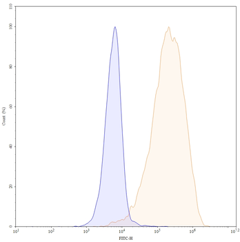 AMHR2/MISRII Mouse Monoclonal Antibody