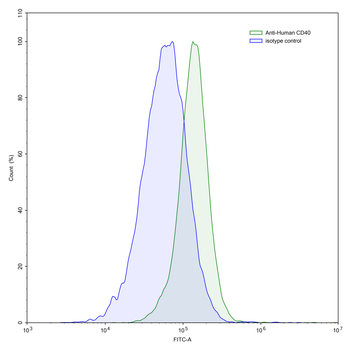 CD40/TNFRSF5 Mouse Monoclonal Antibody