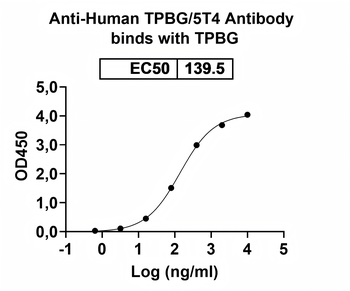 TPBG/5T4 Mouse Monoclonal Antibody
