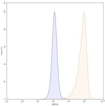 TPBG/5T4 Mouse Monoclonal Antibody