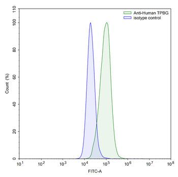 TPBG/5T4 Mouse Monoclonal Antibody