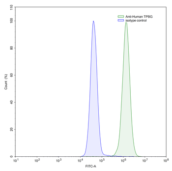 TPBG/5T4 Mouse Monoclonal Antibody