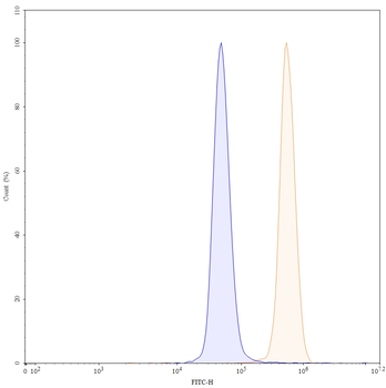 IL1B/IL1F2 Mouse Monoclonal Antibody