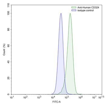 CD324/CDH1 Mouse Monoclonal Antibody