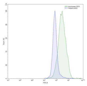CD73/NT5E Mouse Monoclonal Antibody