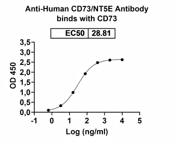 CD73/NT5E Human Monoclonal Antibody