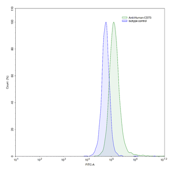 CD73/NT5E Human Monoclonal Antibody