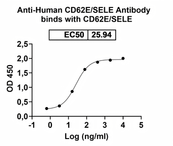 CD62E/SELE Mouse Monoclonal Antibody