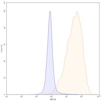 CD326/EPCAM Human Monoclonal Antibody