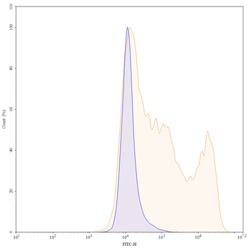 CD30/TNFRSF8 Mouse Monoclonal Antibody