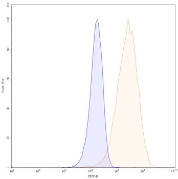 CD196/CCR6 Mouse Monoclonal Antibody