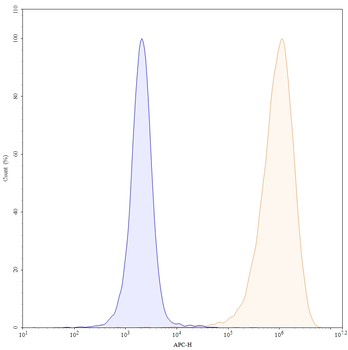 CD185/CXCR5 Human Monoclonal Antibody
