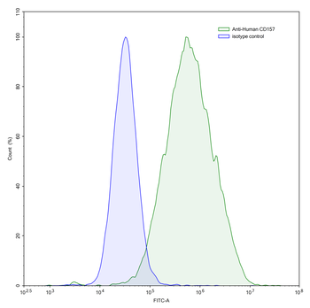 CD157/BST1 Mouse Monoclonal Antibody