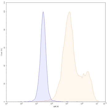 CLDN18.2 Human Monoclonal Antibody