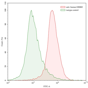 ERBB3/HER3 Human Monoclonal Antibody