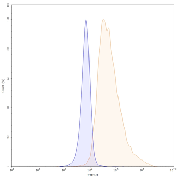 FOLH1/PSMA Human Monoclonal Antibody