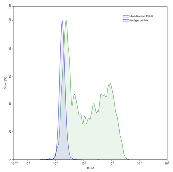 TSHR/LGR3 Mouse Monoclonal Antibody