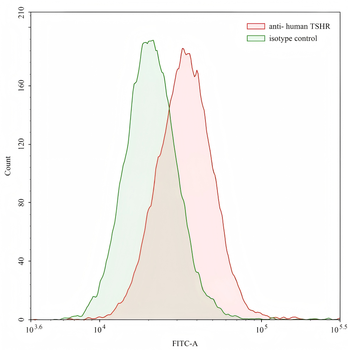 TSHR/LGR3 Human Monoclonal Antibody