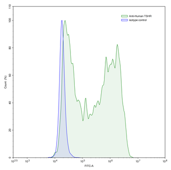 TSHR/LGR3 Human Monoclonal Antibody