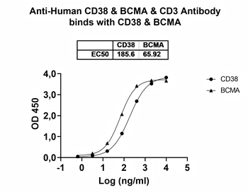 CD38 & BCMA & CD3 Human Monoclonal Antibody