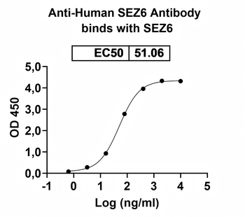 SEZ6 Human Monoclonal Antibody