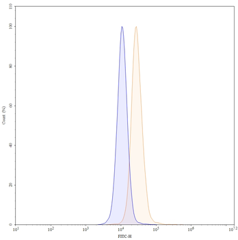 CDH3/P-cadherin Human Monoclonal Antibody
