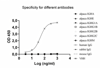 CD73/NT5E Human Monoclonal Antibody