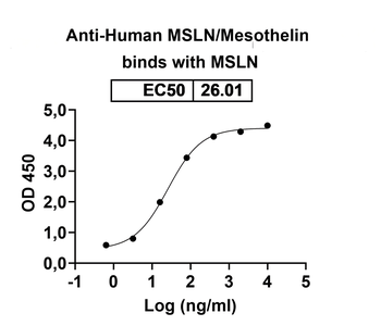 MSLN/Mesothelin Human Monoclonal Antibody