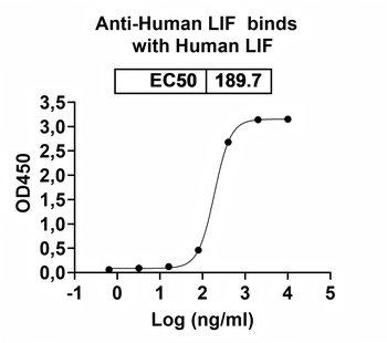 LIF Human Monoclonal Antibody