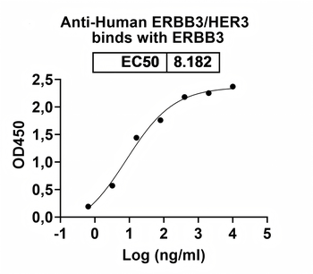 ERBB3/HER3 Human Monoclonal Antibody