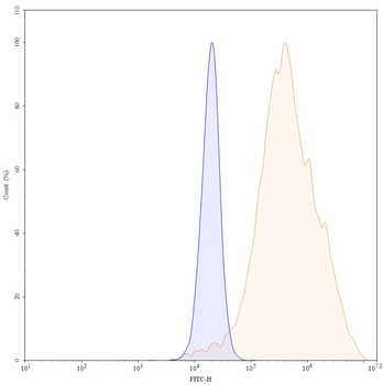 Cetuximab Chimeric Monoclonal Antibody