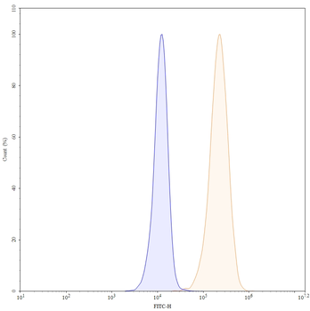 Cetuximab Chimeric Monoclonal Antibody