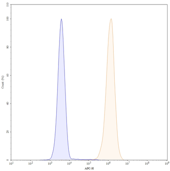 Matuzumab Human Monoclonal Antibody