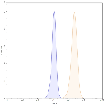 Matuzumab Human Monoclonal Antibody
