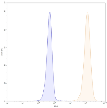 Matuzumab Human Monoclonal Antibody