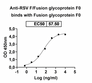 RSV F/Fusion glycoprotein F0 Monoclonal Antibody