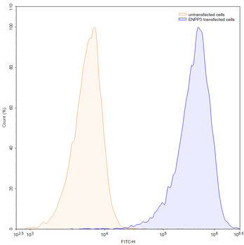 CD203c/ENPP3 Human Monoclonal Antibody